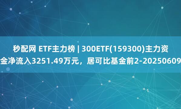 秒配网 ETF主力榜 | 300ETF(159300)主力资金净流入3251.49万元，居可比基金前2-20250609