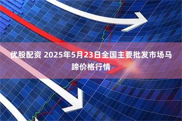 优股配资 2025年5月23日全国主要批发市场马蹄价格行情