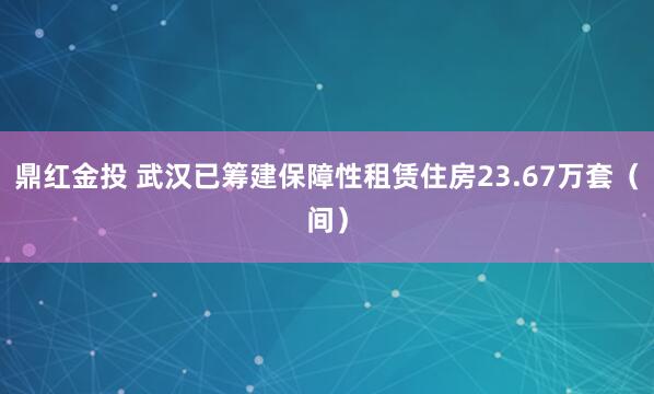 鼎红金投 武汉已筹建保障性租赁住房23.67万套（间）