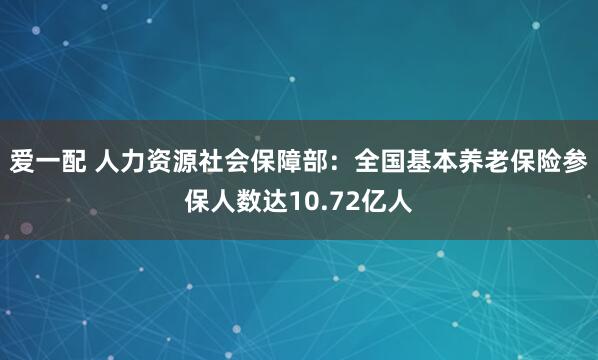 爱一配 人力资源社会保障部：全国基本养老保险参保人数达10.72亿人